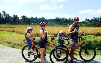 Ubud Cycling