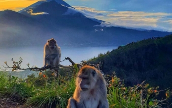 Bali Trekking