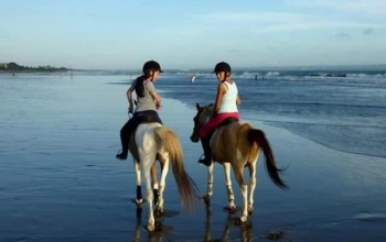 Bali Horse Riding